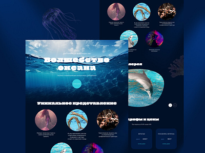 Landing Water Show design graphic design landing typography ui ux