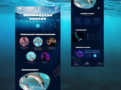 Landing Water Show design graphic design landing typography ui ux