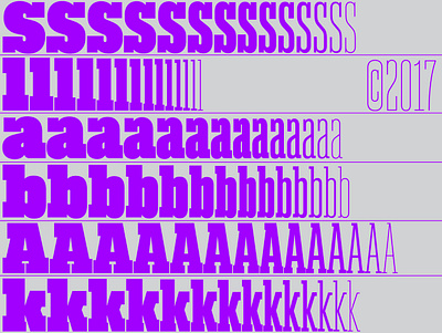 Akkordeon Slab typeface akkordeon purple serif slab