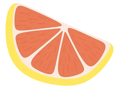 Grapefruit Slice grapefruit illustration
