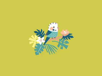 Budgie bird budgie cute design illustration kids parrot summer tropical