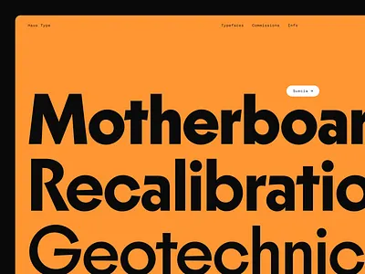 Haus Type custom type lettering type type design typography web design