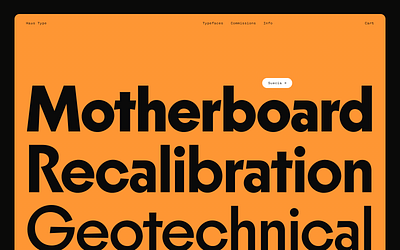 Haus Type custom type lettering type type design typography web design