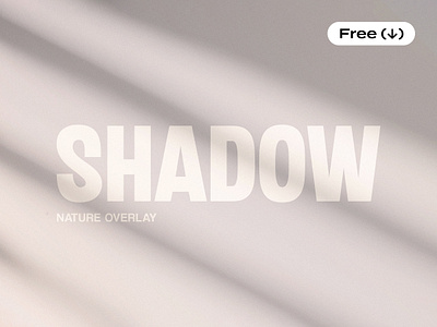 Blinds Shadow Overlay blinds download free freebie light lighting overlay photoshop pixelbuddha psd realistic shade shadow template wall