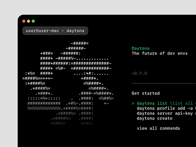 Daytona CLI launcher ascii cli code command dev product terminal tool