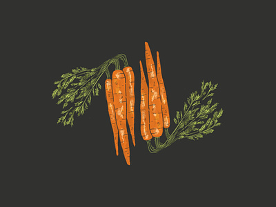 Carrots branding carrots food garden gardening grow illustration kitchen organic outdoors retro simple summer vegtable vegtables