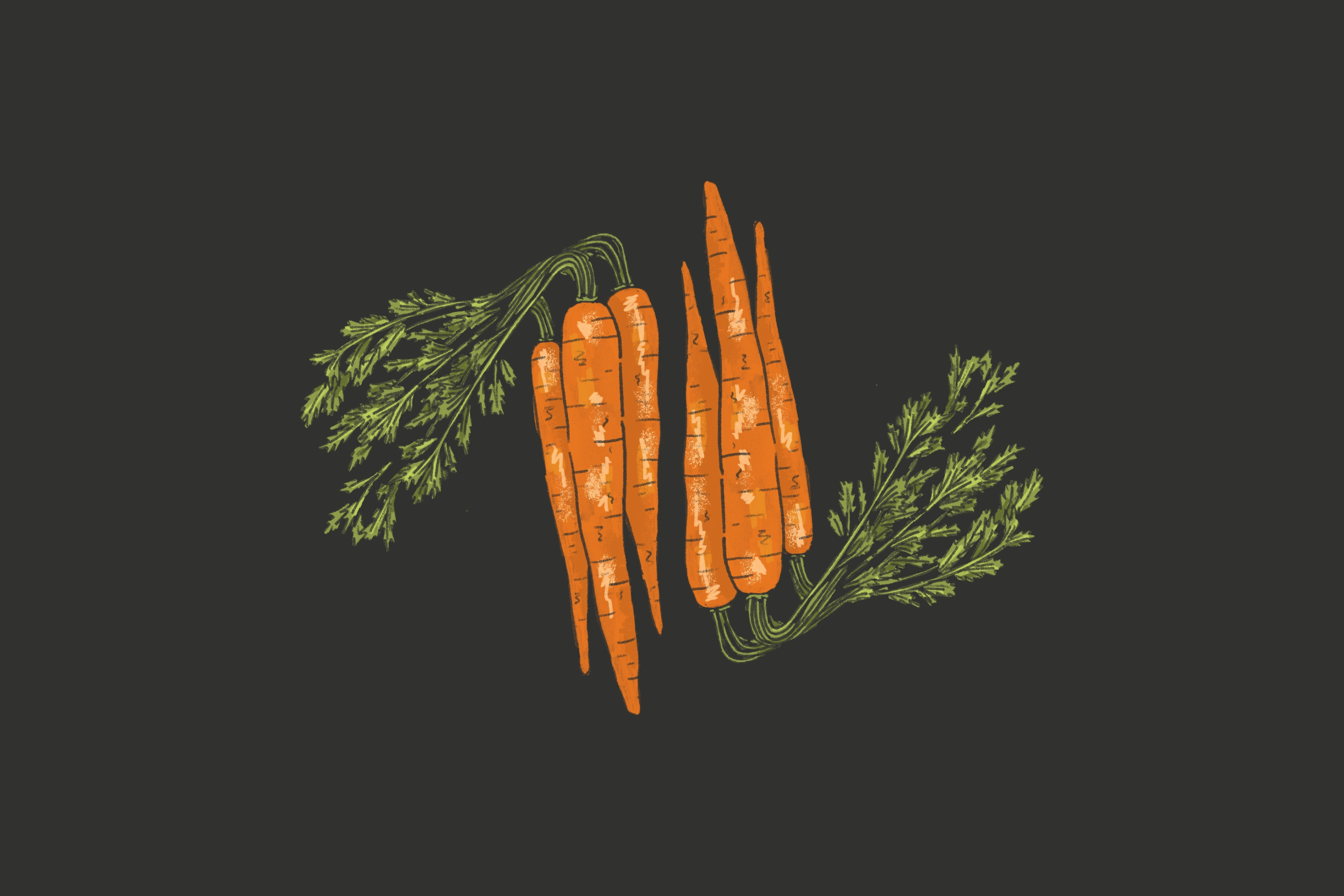 Example of Illustrations