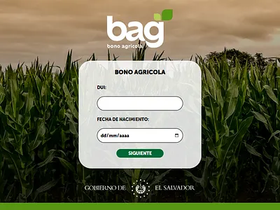 Bag El Salvador Website css graphic design html ui ux webdesign