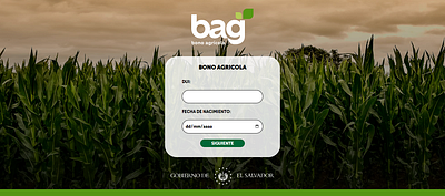 Website Bag El Salvador css graphic design html ui ux webdesign