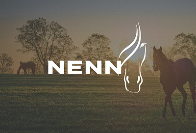 Nenn Branding branding branding design design graphic design logo motion graphics typography web design