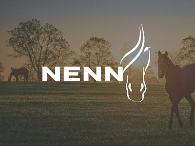Nenn Branding branding branding design design graphic design logo motion graphics typography web design