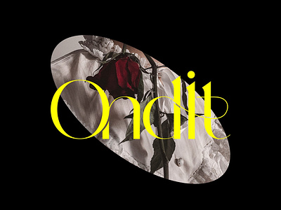 ONDIT / FASHION LOGO branding cloth shopping