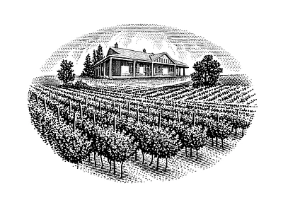 Winery engraving etching illustration retro vintage wine label