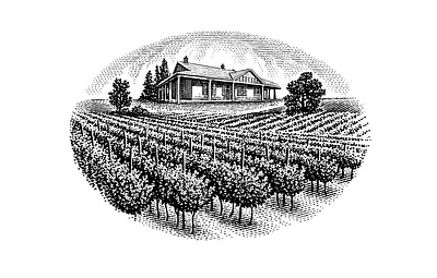 Winery engraving etching illustration retro vintage wine label