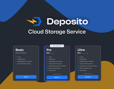 Pricing Page - Storage Service app branding design graphic design logo ui ux