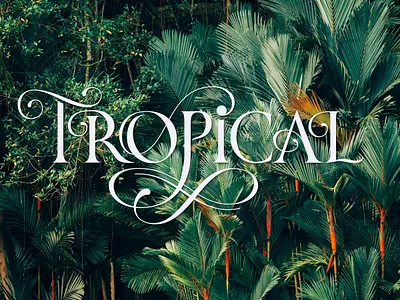 Tropical: Hand Lettering with Flourishes adobe illustrator bezier curves block letters custom typography flourishes graphic design hand drawn type handlettering lettering design ligature logo design procreate type typography vectorized vintage typography