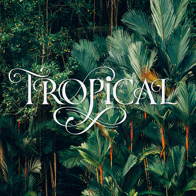 Tropical: Hand Lettering with Flourishes adobe illustrator bezier curves block letters custom typography flourishes graphic design hand drawn type handlettering lettering design ligature logo design procreate type typography vectorized vintage typography