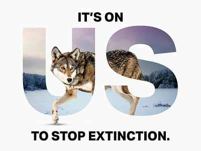 Defenders of Wildlife - It's On Us Campaign graphic design
