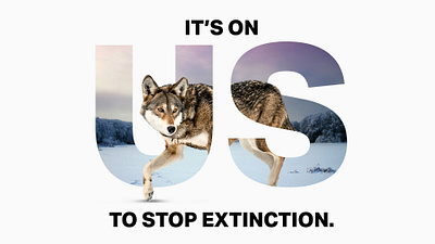 Defenders of Wildlife - It's On Us Campaign graphic design
