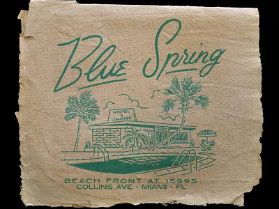 Blue Spring beach design branding design graphic design illustration logo motel photoshop retro design tshirt design vintage