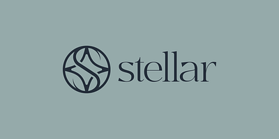 Stellar app branding design graphic design illustration logo typography