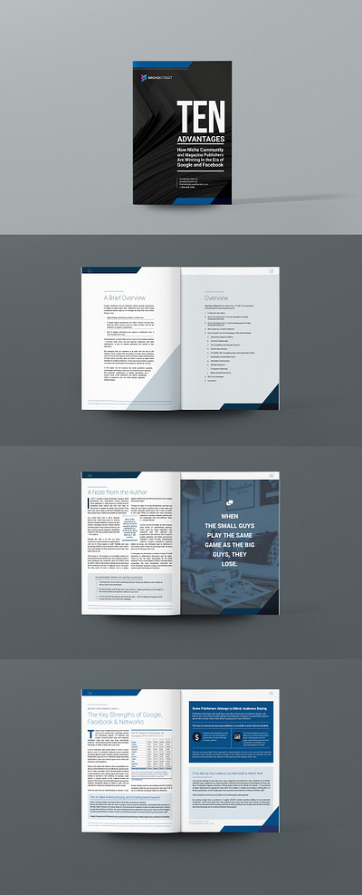 Report Design adobe indesign annual report branding ebook graphic design illustration photoshop report design template