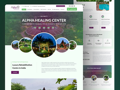 Website Design for Alpha Healing Center creative ui ui ux user experience design user interface design ux website design