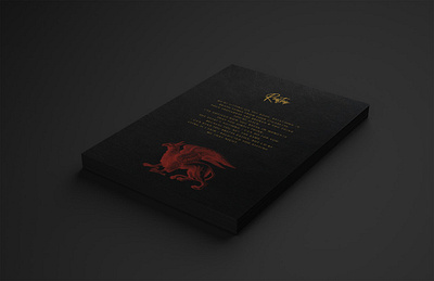 Book Of Hodou Project book branding design graphic design illustration layout logo media print