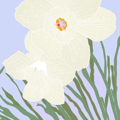 Floral color floral illustration perspective procreate