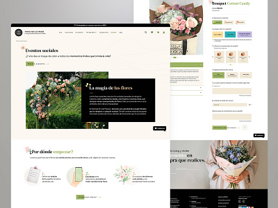 Website Nomad design graphic design ui ux web web site