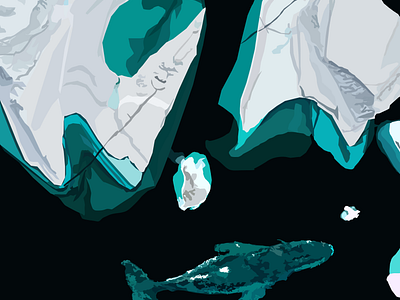 Arctic adobe illustrator animal arctic art digital art graphic design iceberg illustration vector whale