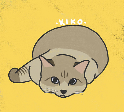 Kiko caricature cat character doodle illustration procreate