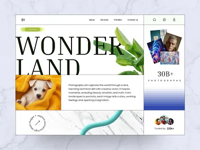 Photography studio website clean creative design figma hero section minimal photography studio website photography website studio website ui ux website
