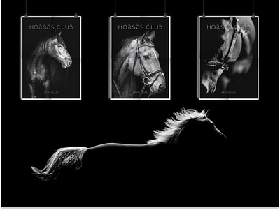 HORSE CLUB banner branding graphic design horse logo poster ui