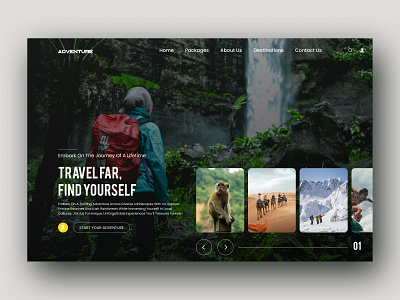 Travel Adventure website design design interface product service startup ui ux web website