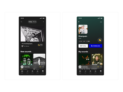 Artist Profile music music app profile