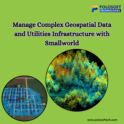 Manage Complex Geospatial Data and Utilities Infrastructure with smallworld services