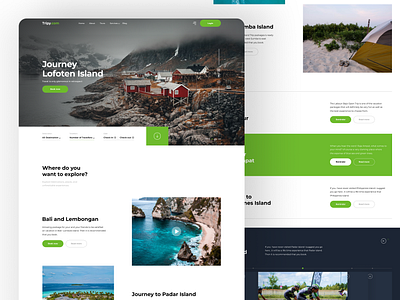 Travel Website Design 3d animation branding creativedesign graphic design landingpage logo motion graphics responsivedesign ui uitrends userinterface uxui webdesign webinspiration websitedesign webui