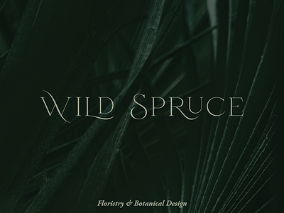 Semi-Custom Brand - Wild Spruce branding design graphic design logo logo design semi custom brand