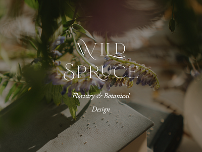 Semi-Custom Brand - Wild Spruce branding design graphic design logo logo design semi custom brand