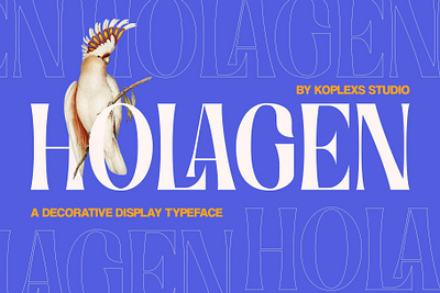 Holagen - A Decorative Display Font branding display fonts handwritten logo playfull typeface