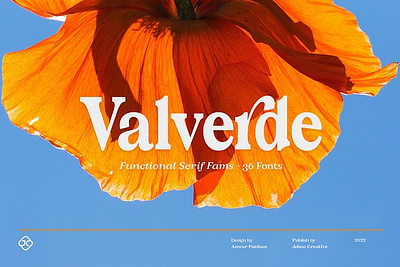 Valverde Functional Serif-36 Fonts bundle font condensed typeface cover cover art family font full headline font italic font magazine font poster serif display serif font bundle serif typeface