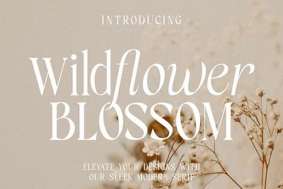 Wildflower Blossom - Modern Serif eighties elegant fashion fashion font feminine font font italic luxury magazine minimal font regular retro serif vintage vogue font