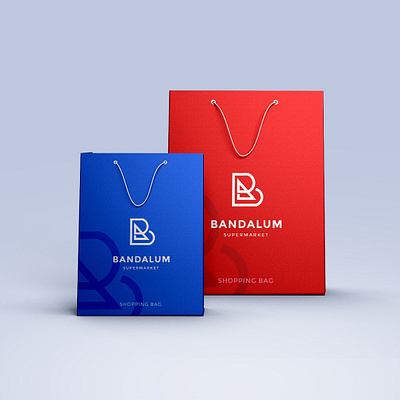 Shopping Bag Design branding design ui