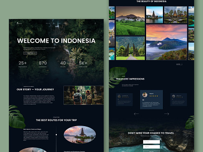 Indonesia Landing Page design ui ux web design