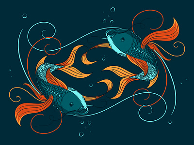 Fish animal fish illustration nature sea