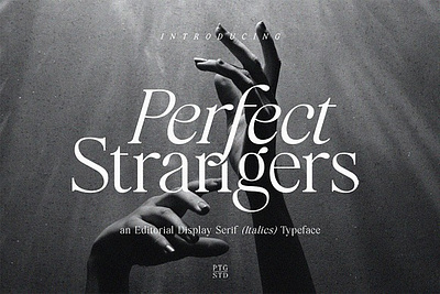 Perfect Strangers I Elegant Serif aesthetic beauty font canva chic classy clean cursive elegant fashion feminine luxury serif