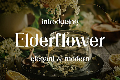 Elderflower - Elegant Typeface calligraphy font chic classy classy font display font elegant fashion ligature font luxury minimalist font stylish