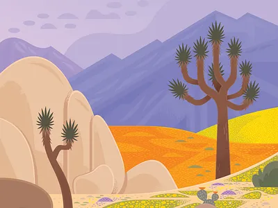 Superbloom california desert design flowers illustration joshua tree museum national park national parks nature science vector