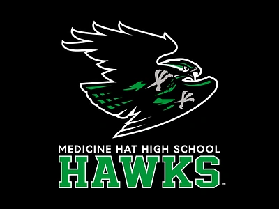 MHHS Hawks branding design hawks identity illustration logo school slavo kiss sport sports team